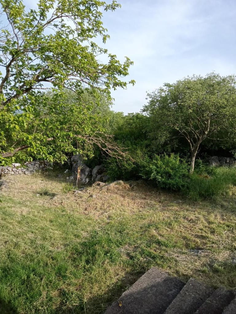 Country stone house Kovacevic photo 1