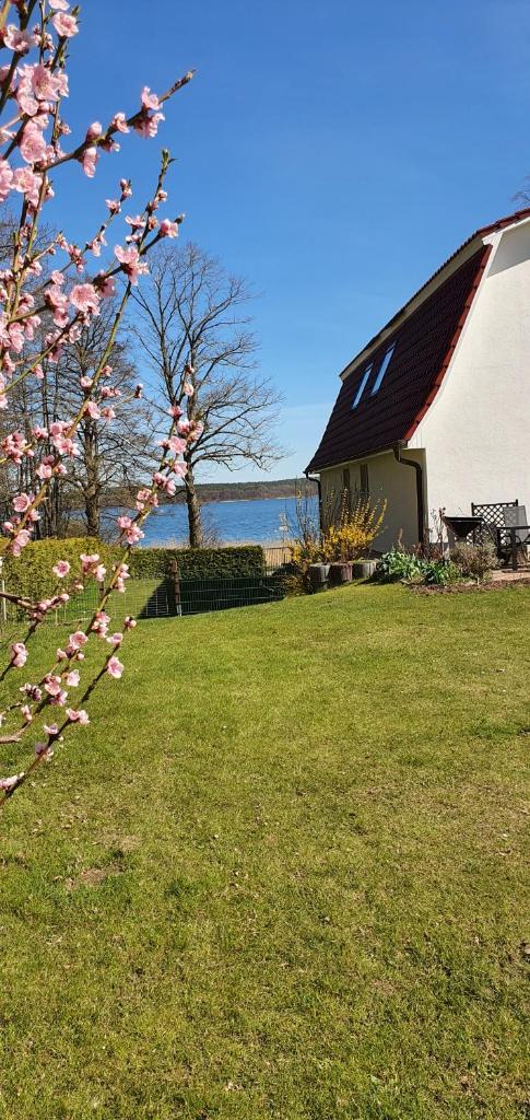 Villa Seeschwalbe Plau photo 4
