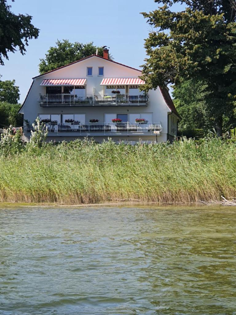 Villa Seeschwalbe Plau photo 3