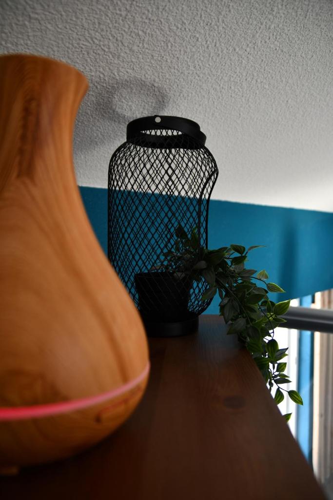 Appartement "Sacha" au calme en Hypercentre de Revel photo 4