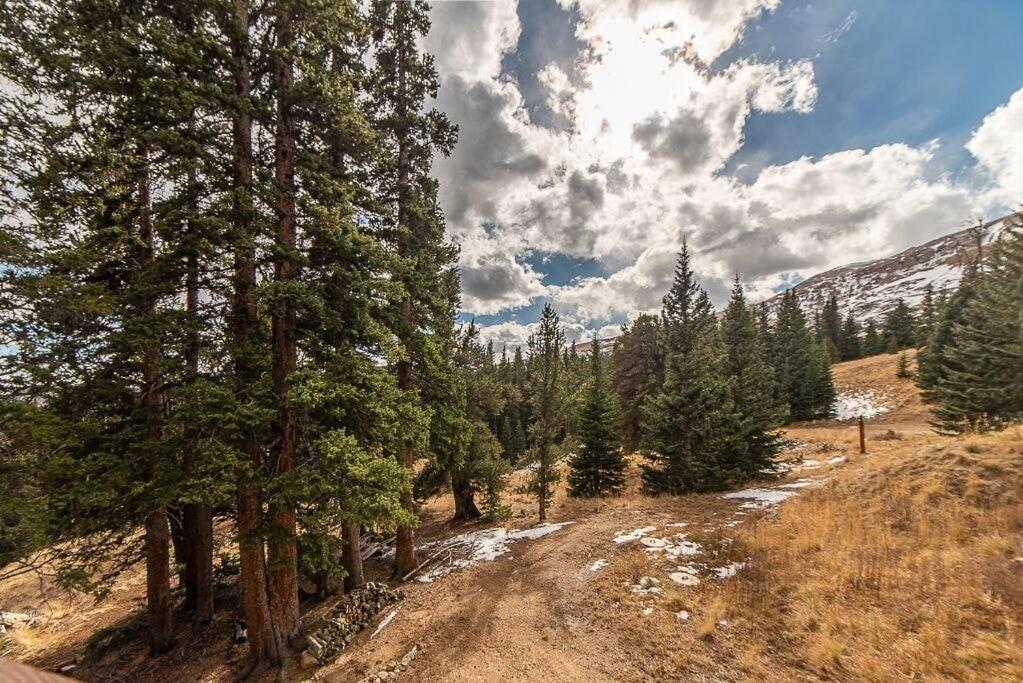 Luxury House with Plenty of Room and Amazing Location - Lookout Lodge photo 1