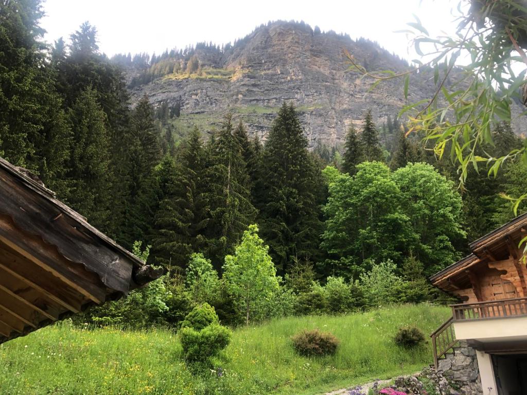 Chalet Chardon photo 4