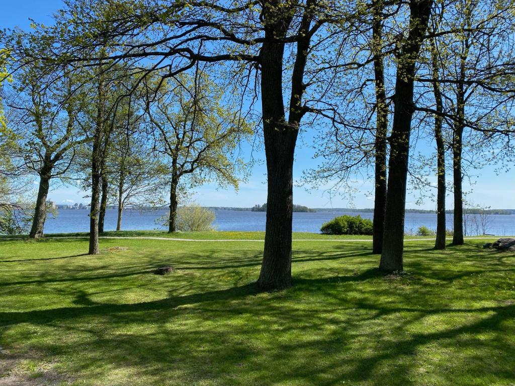 Lövudden Strand photo 4