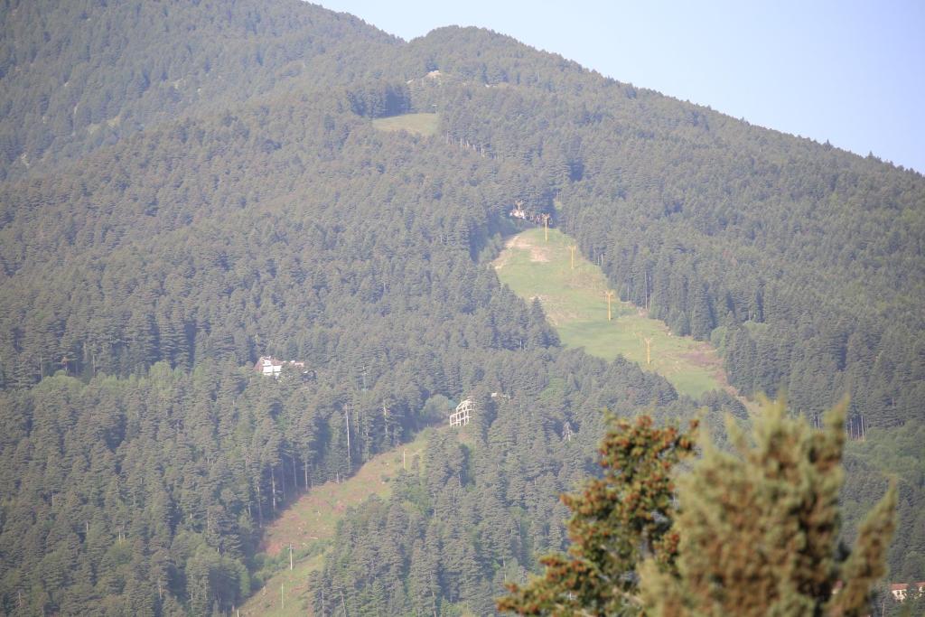 Vilas Ambasador Bratin Dol photo 3