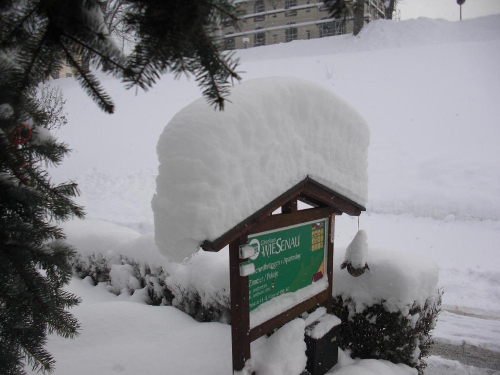 Pension Wiesenau photo 3