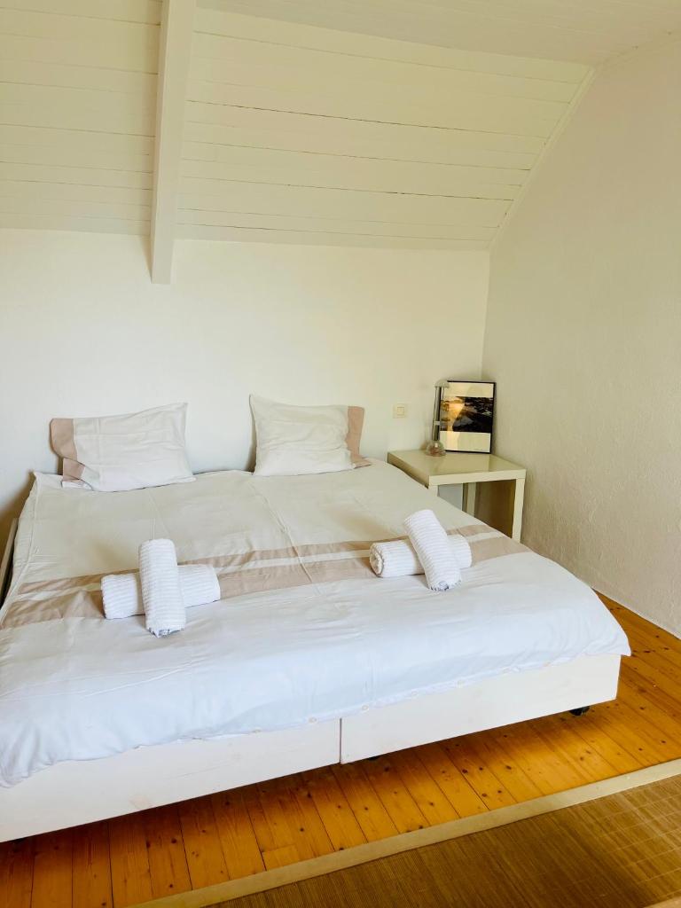 Maison de charme entre terre et mer, proche plages photo 2