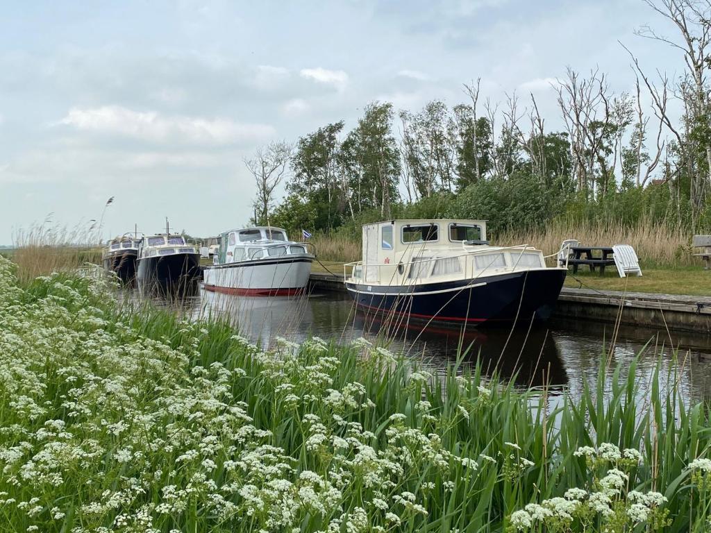 Boat Ella - kamperen op het water -niet om mee te varen -read host profile-lees hostprofiel photo 2