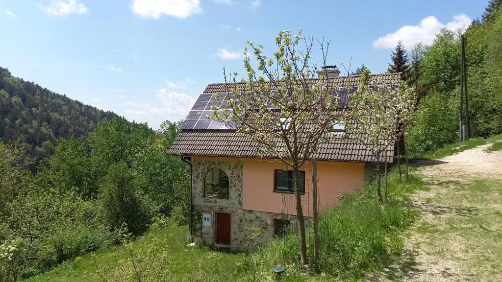Country House & Spa photo 3