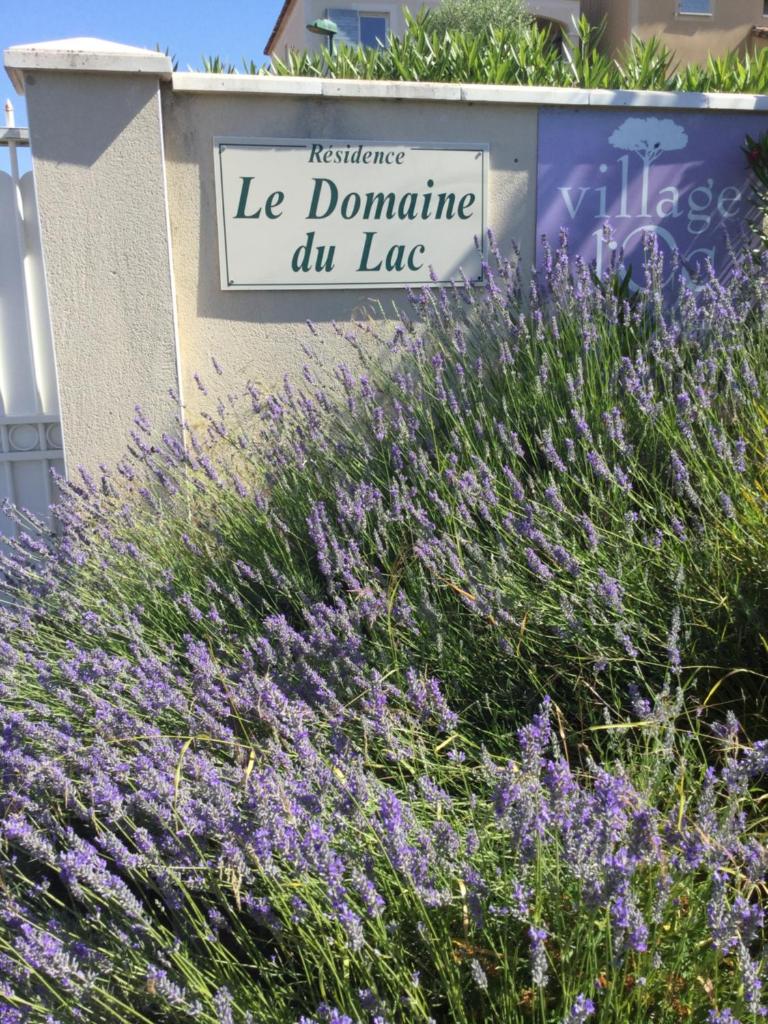 Chez Tranquille, Apartment 43 photo 3