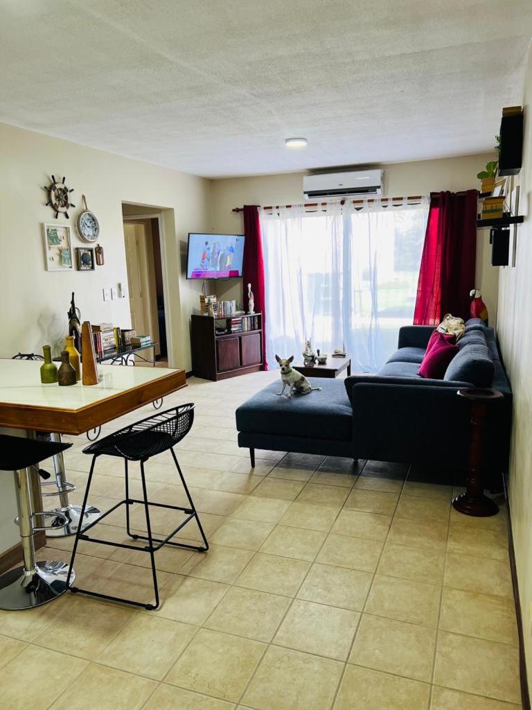 Apartamento The Garden photo 4