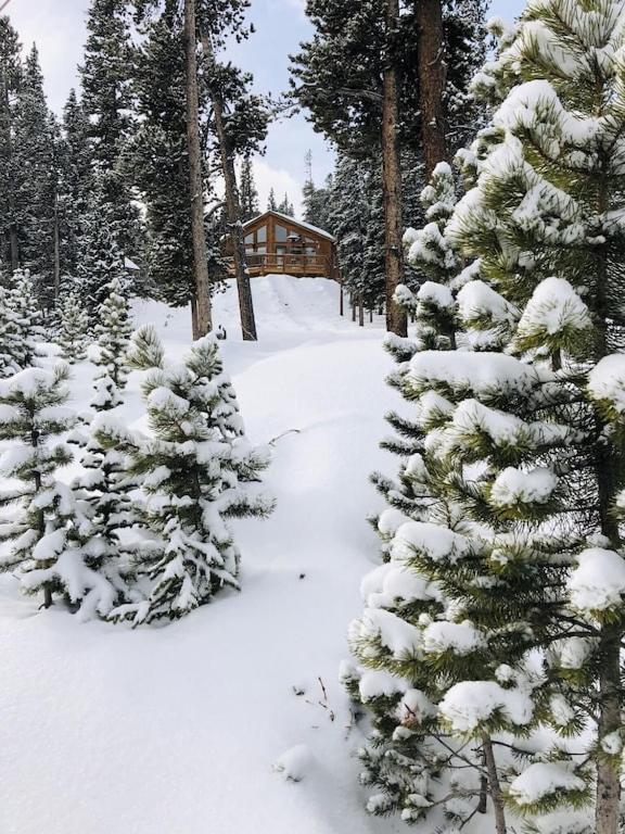 Amazing Views Day & Night Plus Private Hot Tub - Lunar View Lodge photo 3