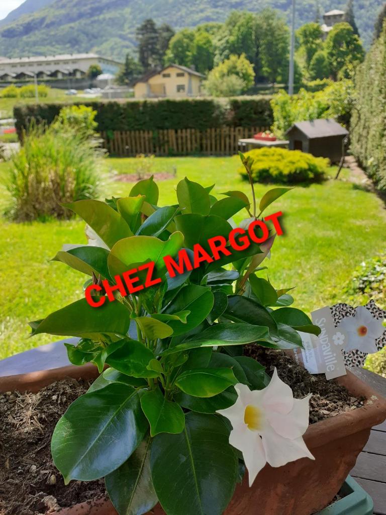 Chez Margot photo 2