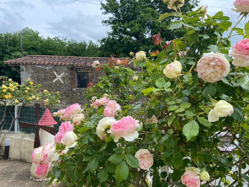 Le petit moulin photo 3