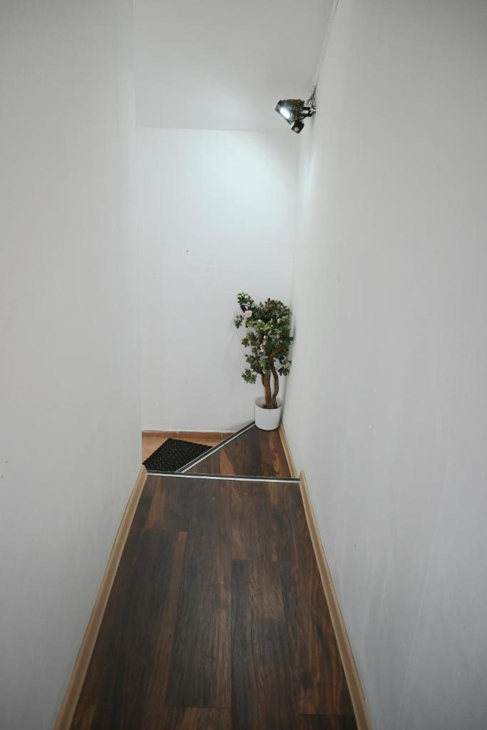 Casa Luminita photo 3