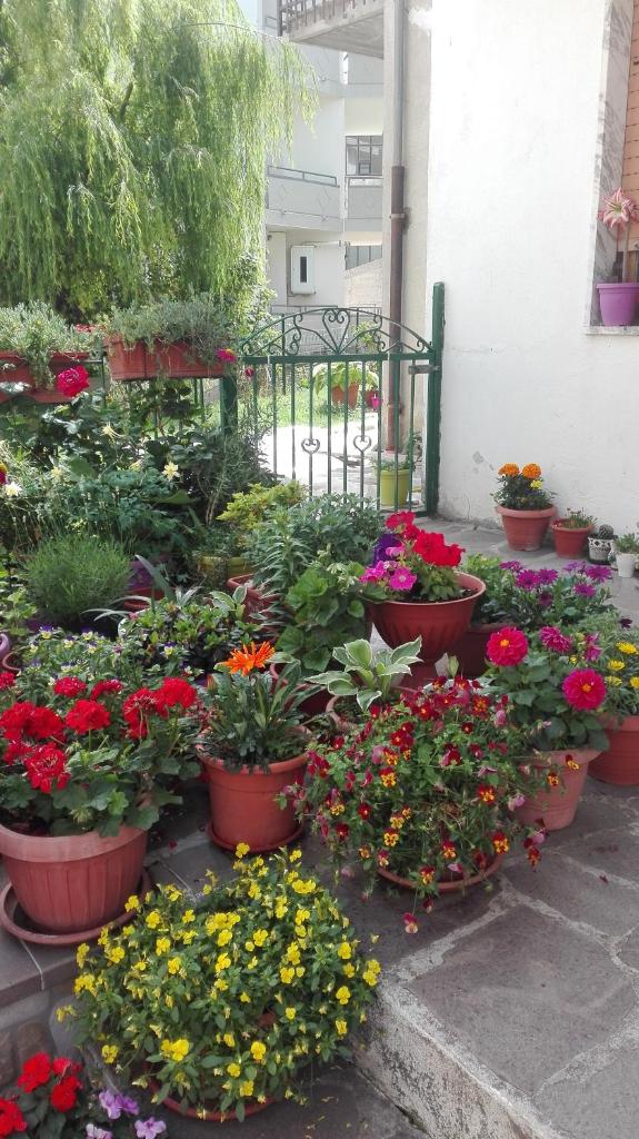B&B A casa di Carla photo 2