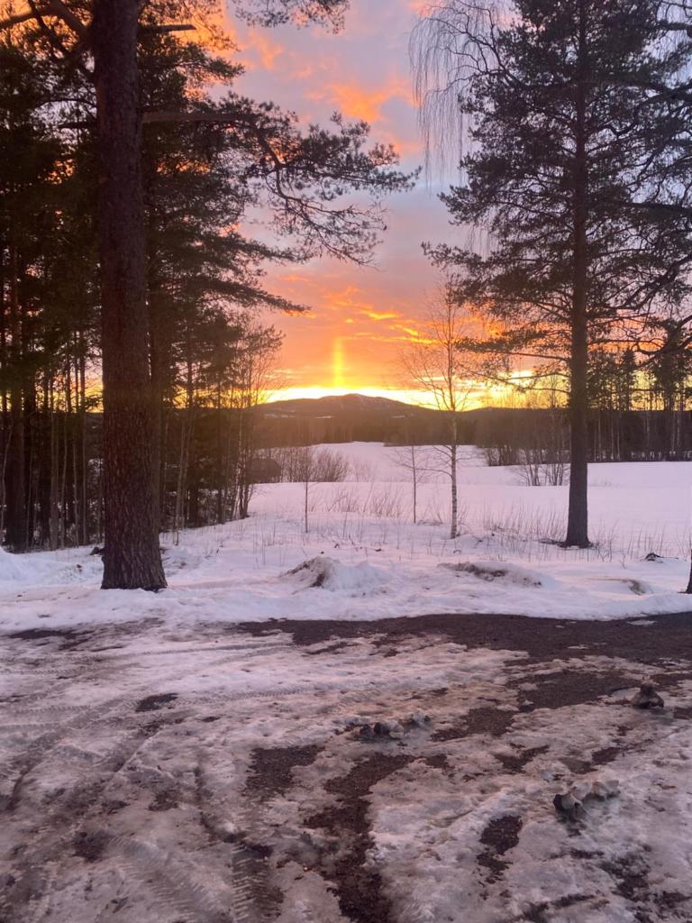 Surrounded by nature in Bjurholm photo 3