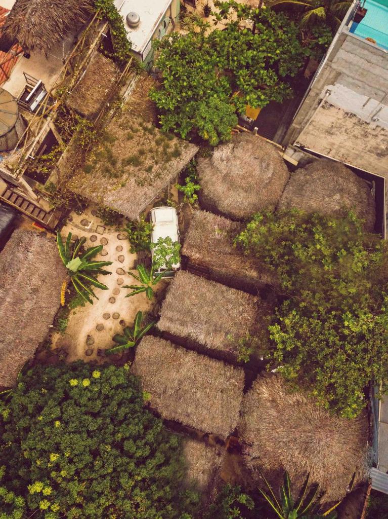 Raiz Hostel photo 1