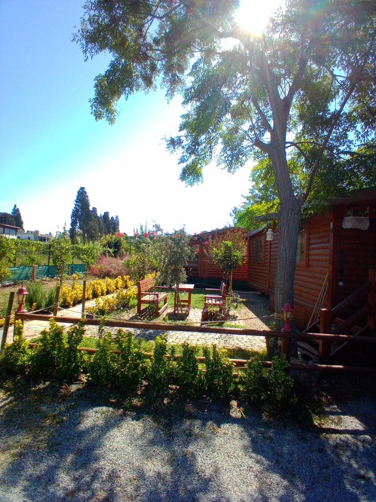 DefneWoodHome photo 1