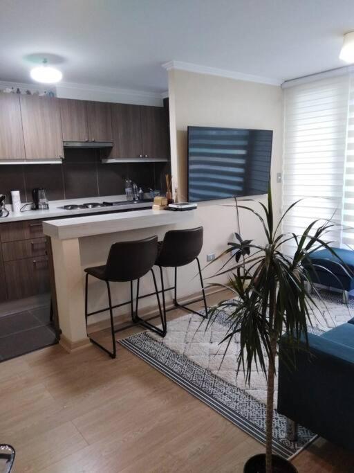 Acogedor apartamento