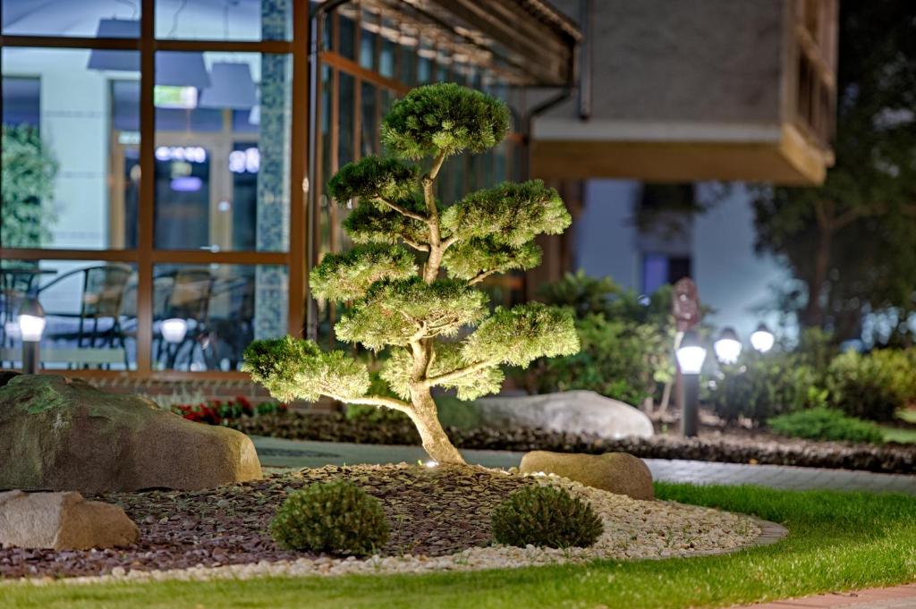 Gradiali Wellness and SPA photo 1