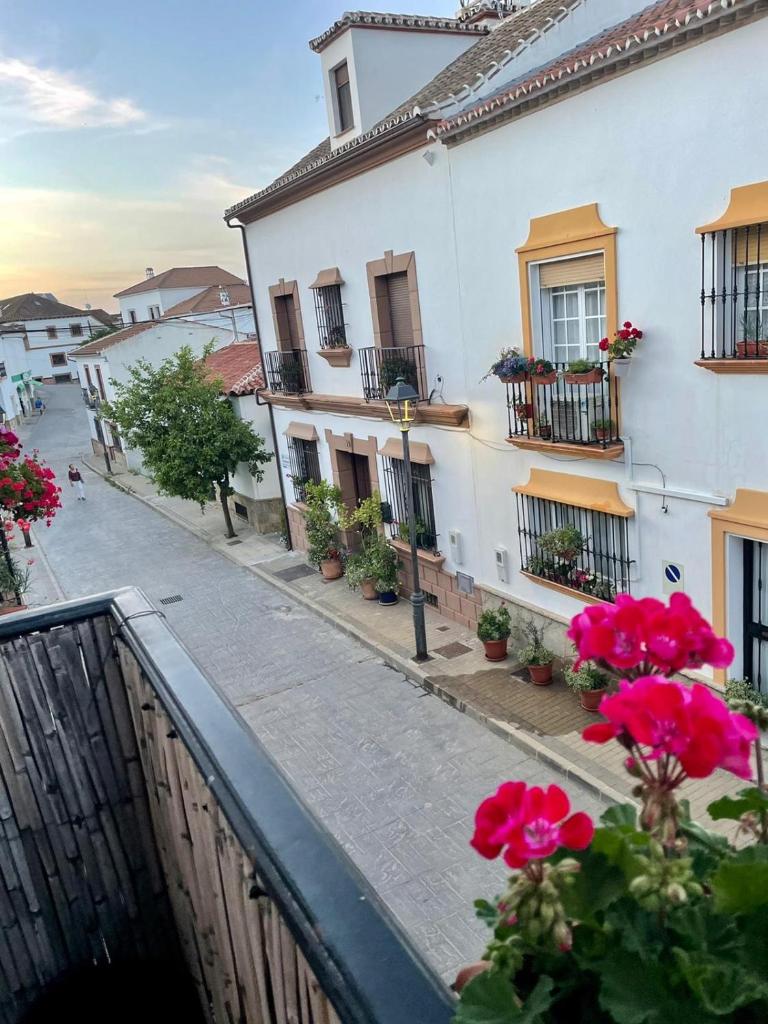 Apartment with roof Terrace and AC photo 4