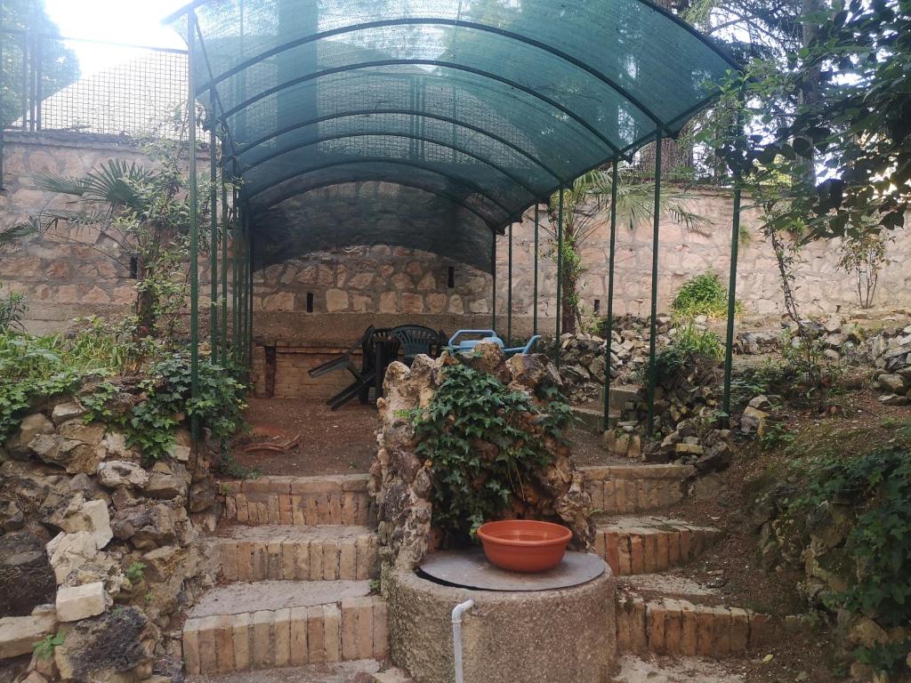 Hortensia Garden photo 3
