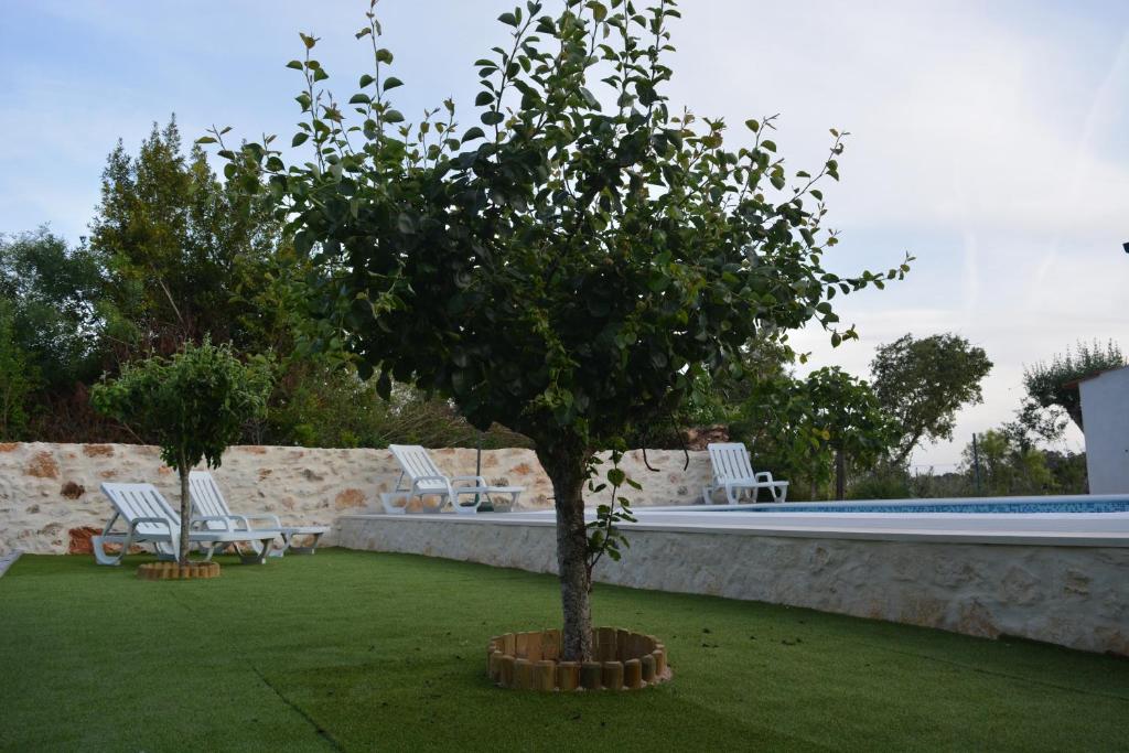 Casa da Pedra photo 2