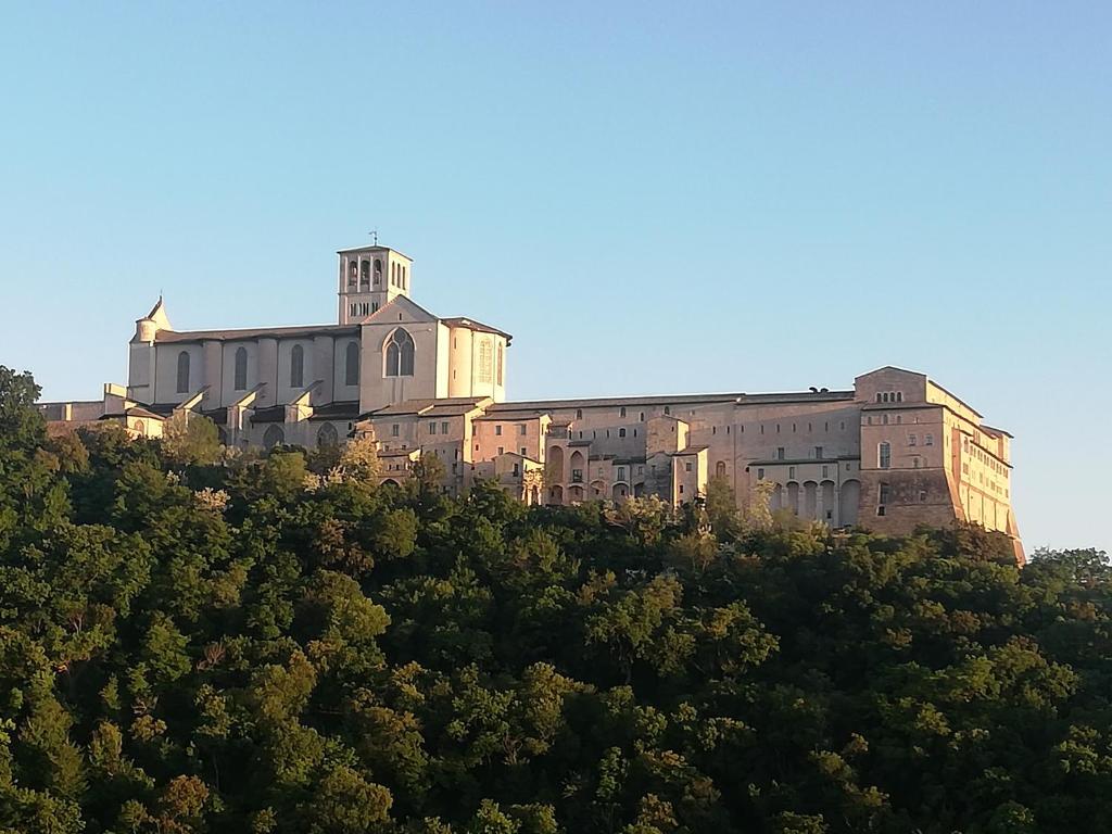 La Casa Tra Gli Ulivi photo 4