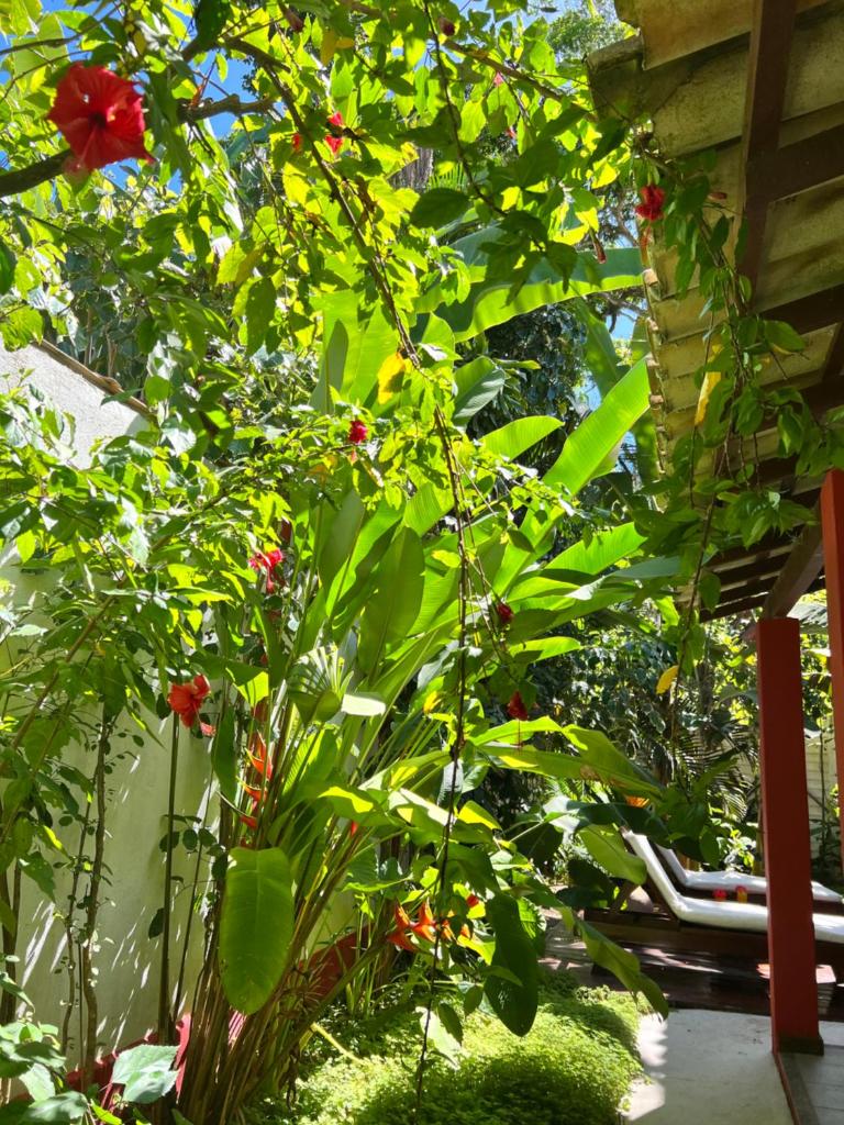 Casa da Beatriz photo 1
