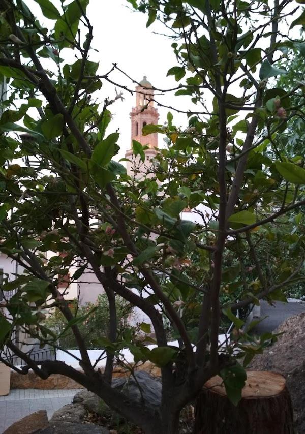 Casa rural Teresa la Cuca photo 3