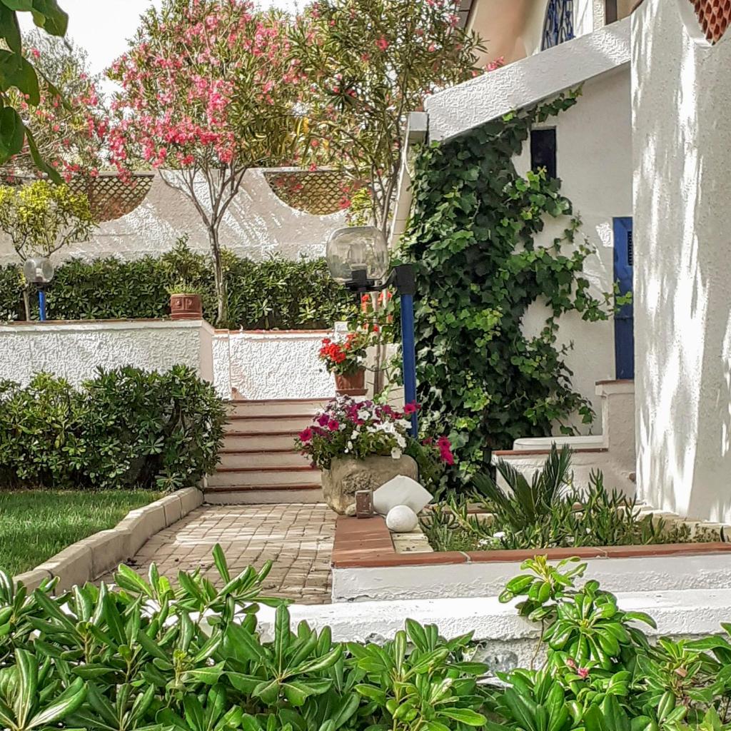 Il Giardino degli Ulivi photo 1