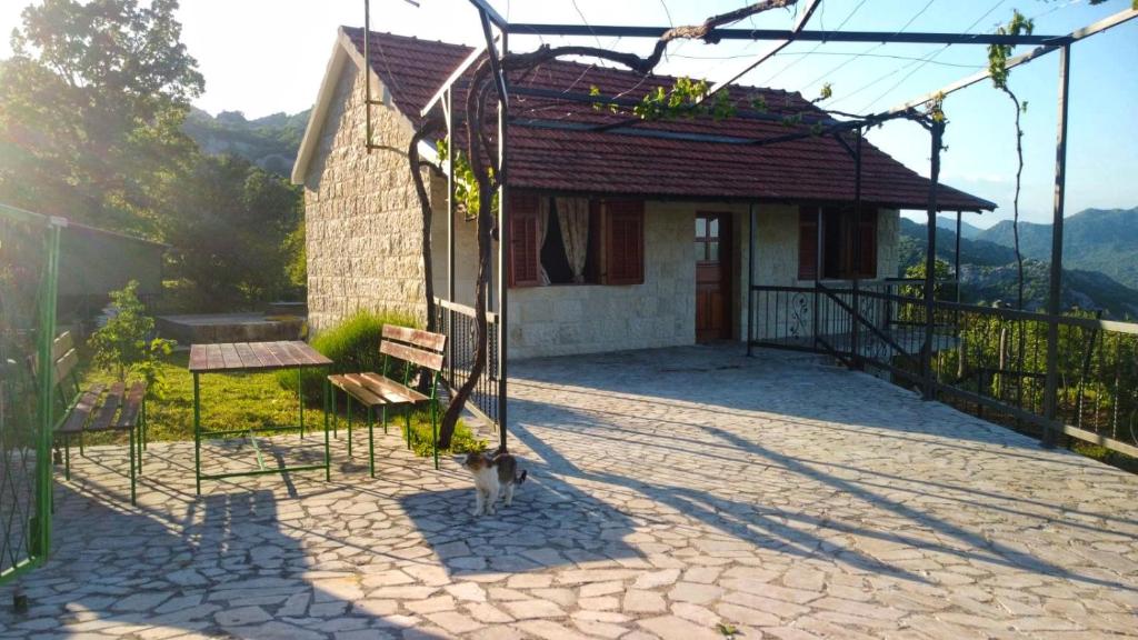 Banjo Rustic House Lake view photo 2