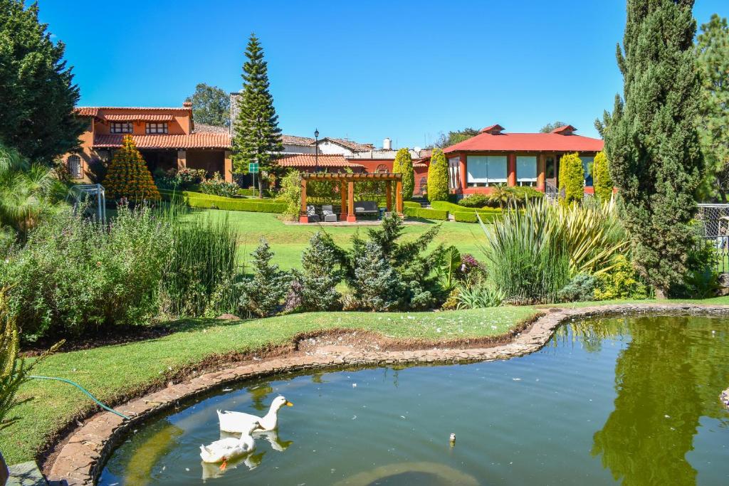 Quinta Tere Hotel & Gallery photo 4