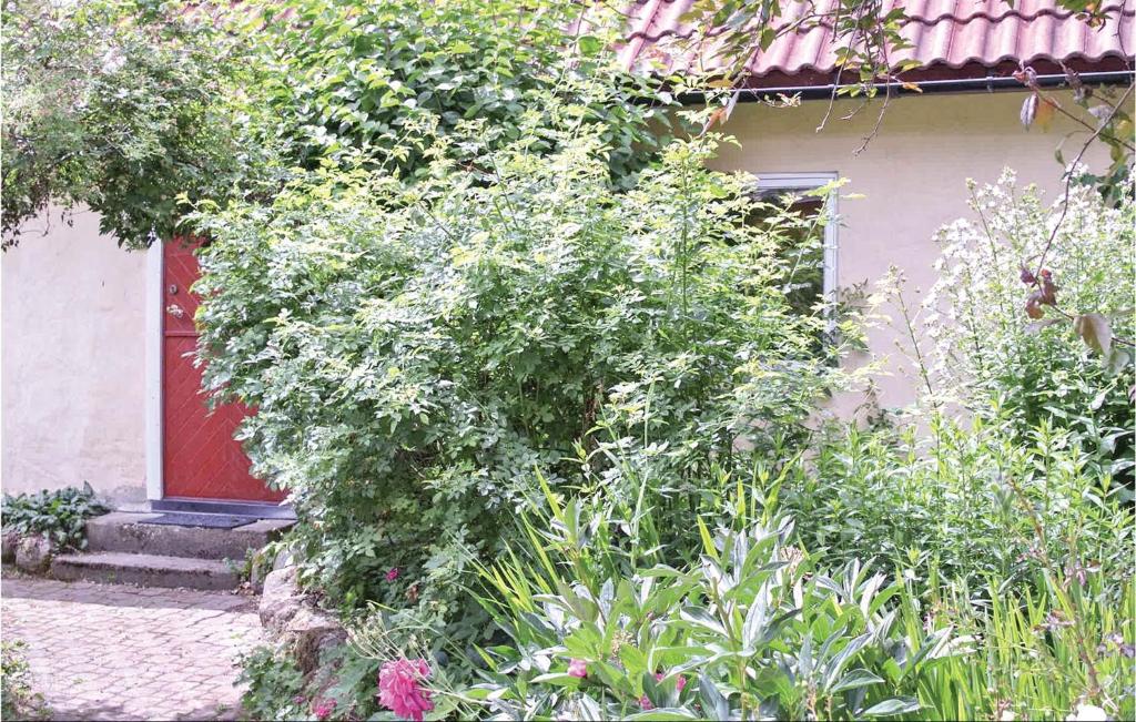Awesome Home In Tomelilla With 1 Bedrooms And Wifi photo 1