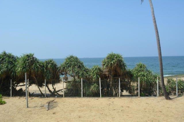 The Beach Front Apartment - Colombo, Uswetakeiyawa, Colombo photo 4