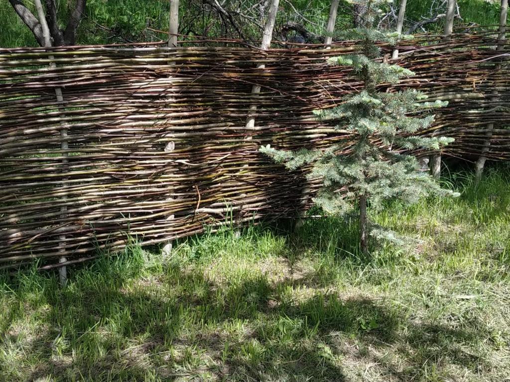 Turan Handmade Yurt with Heated Floors photo 3