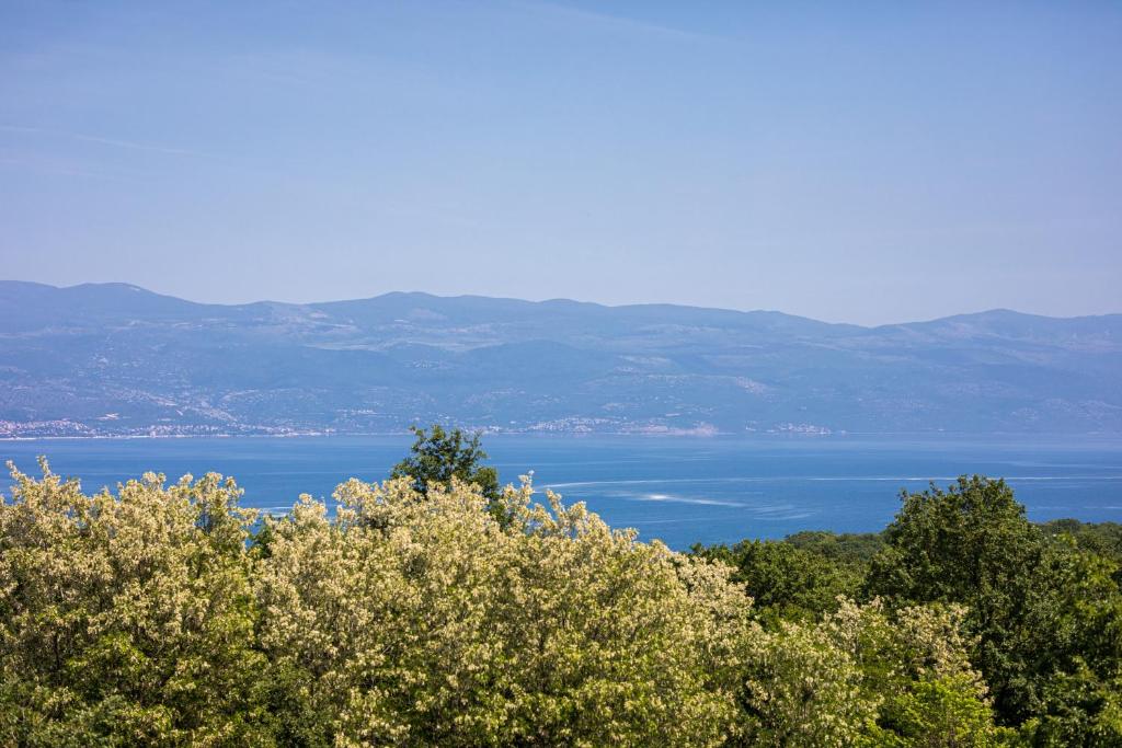 Vila Ema with sea view photo 2