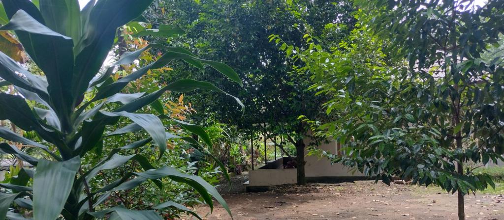 Western Courtyard Munnar photo 2