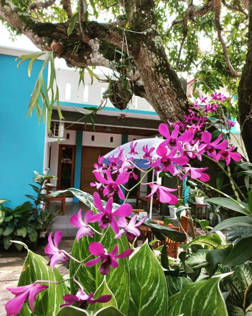 Nusawiru Guest House photo 2