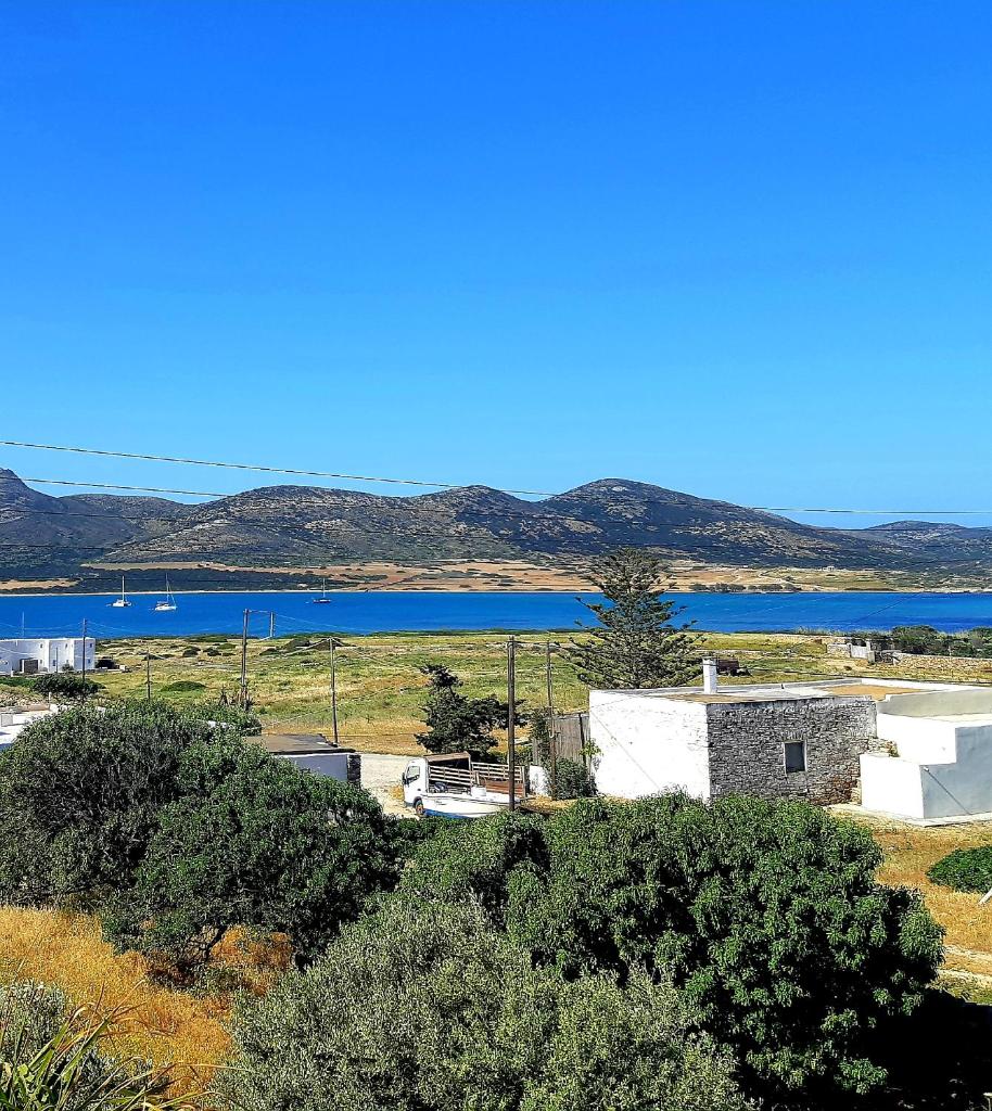 Villa Sofi in Saint George Antiparos (pool&sea) photo 4