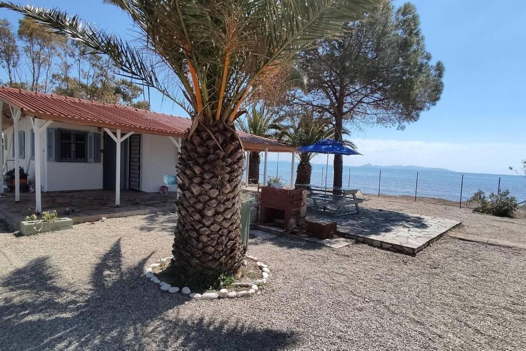 Beachfront/2br/garden/bbq/seaview/quietretreat - Tap to explore photos