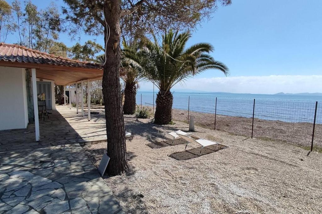 a front beach cottage in a protected area photo 3