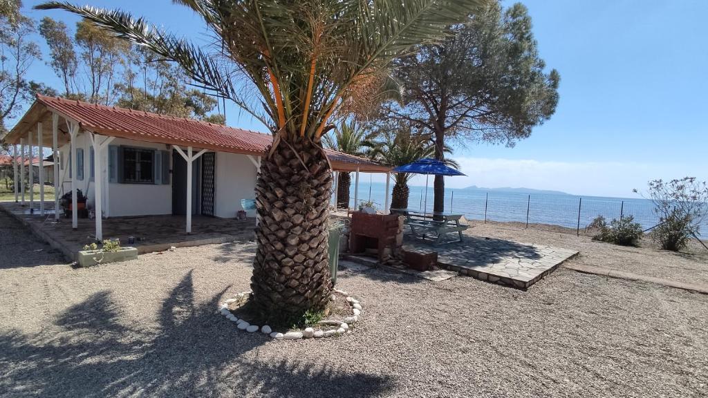 a front beach cottage in a protected area photo 4