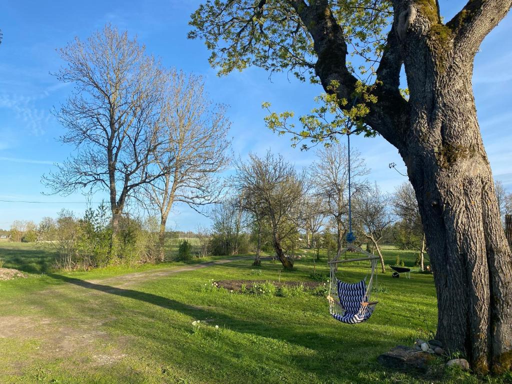 Private Hiiumaa Cottage plus Sauna and new indoor bathroom photo 3