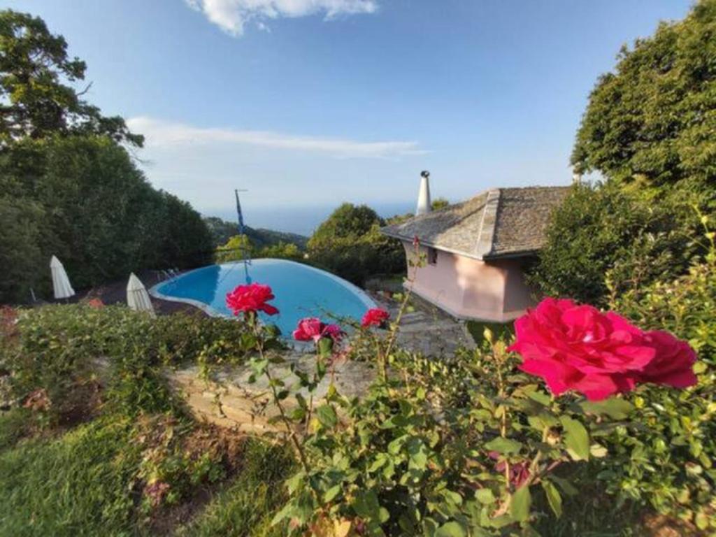 Tsagkarada Country Estate with Pool photo 1