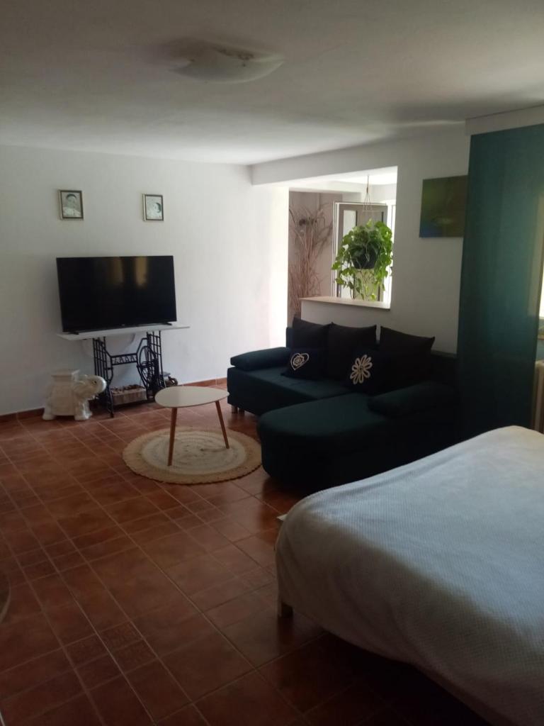 Apartman Ivana photo 1