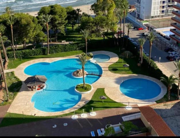 Florazar 2 Cullera photo 3