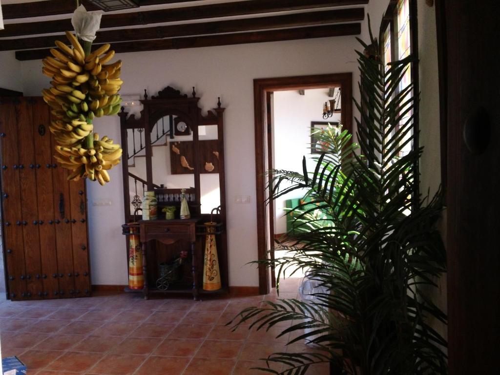 Apartamentos Fuente La Teja & Spa photo 4