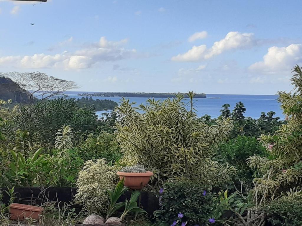 Pension Temaeva photo 2