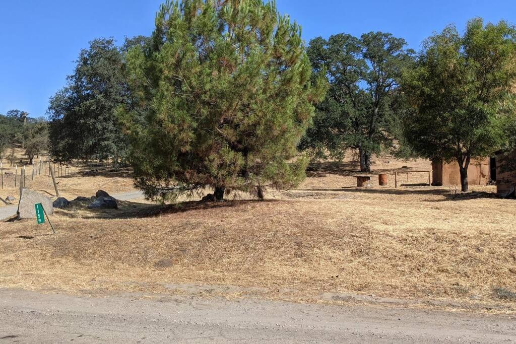 Ruth's Hideaway photo 1